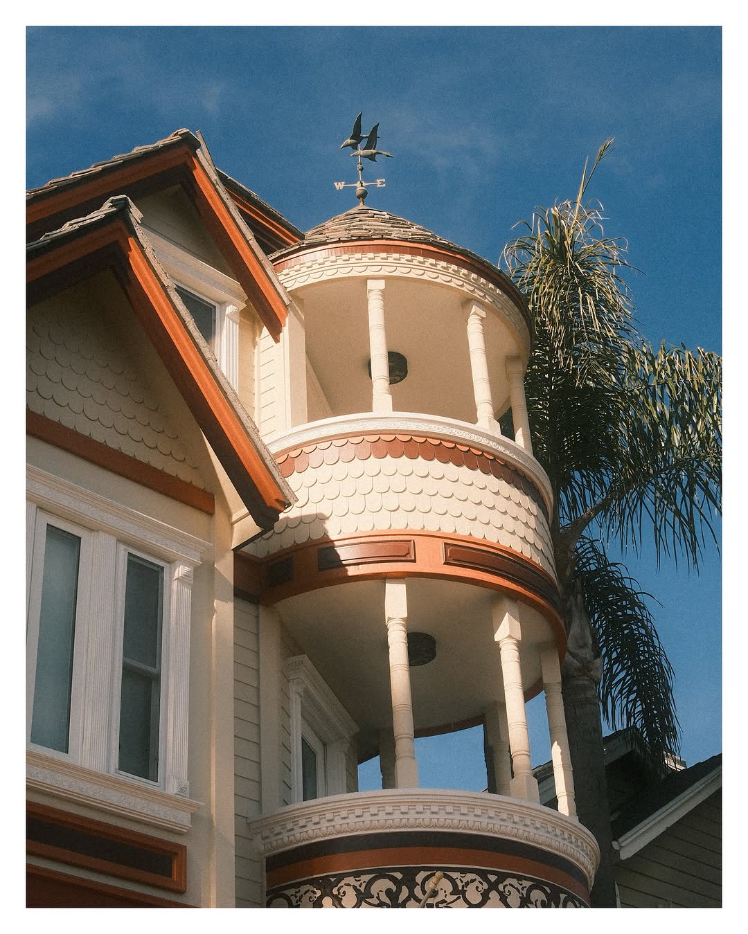 CowanFilm photograph 4 — shot with the Golden Light Fujifilm recipe