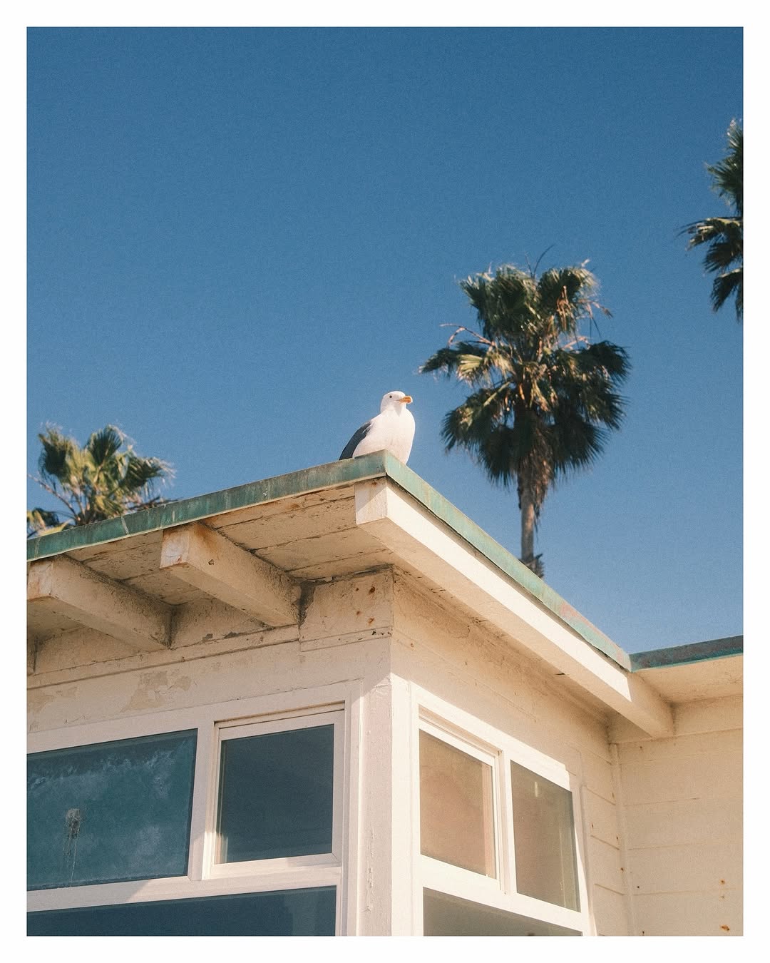 CowanFilm photograph 8 — shot with the Golden Light Fujifilm recipe